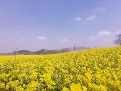 -西海岸生态观光园