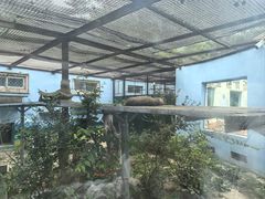 -青藏高原野生动物园