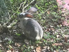 -不觉晓CAMPING(上海迪士尼营地店)