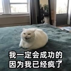 -恒之健私人定制健身(成山店)