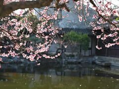 -艺圃