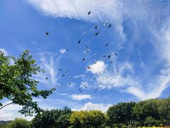 -白鹭洲公园