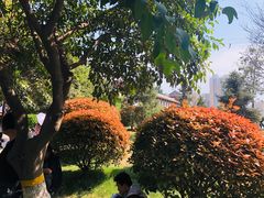 -西安青龙寺遗址景区