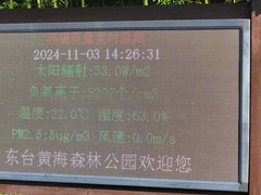 -黄海国家森林公园