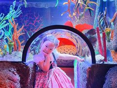 -沈阳海洋探索中心