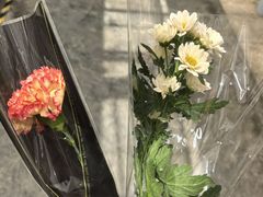 -上海鲜花港
