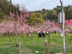 -贵阳市花溪国家城市湿地公园