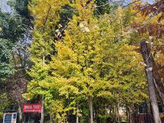 -西南交通大学(九里校区)
