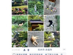 -西湖文化广场