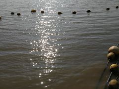 -金沙湖旅游度假区