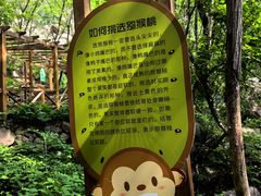 -大岭沟猕猴桃谷风景区