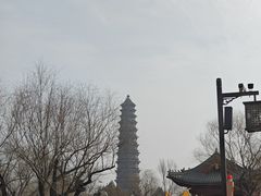-中国翰园碑林