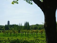 -宜兴龙背山森林公园