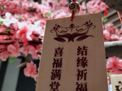 -新影联·华谊兄弟影院(望京店)