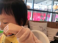 -MR鹅外