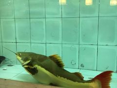 -古韵轩·江浙融合菜(梁溪店)