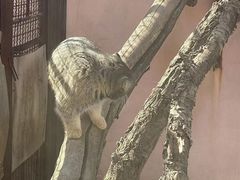 -青藏高原野生动物园