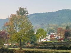 -塔川景区