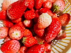 -煲来饱去冷水鱼