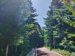 -芦芽山旅游度假区