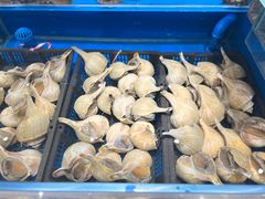 -帝皇海海鲜豆捞(桐泾商务广场店)