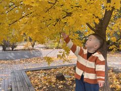 -长白岛森林公园