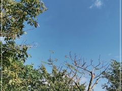 -深圳湾公园(南山区)