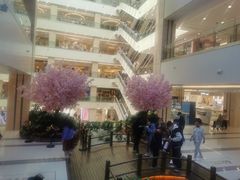 -串一火锅(赛格国际购物中心店)