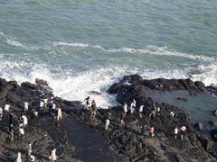 -漳州滨海火山岛自然生态风景区