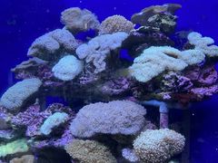 -江和美海洋公园