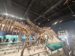 -国家自然博物馆