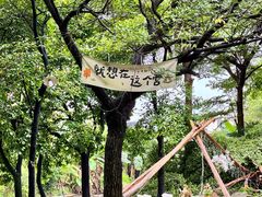 -陶缘一号·四季缘·老字号顺德菜·户外婚礼家宴(西滘店)