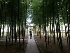 -龙寺生态园