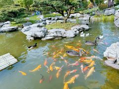 -扬州瘦西湖温泉