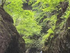 -野三坡百里峡景区
