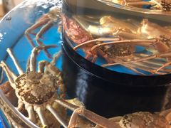 -蟹道乐(道顿堀本店)