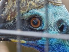 -费瑟代尔野生动物园