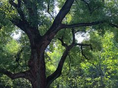 -湖北美术学院(昙华林校区)