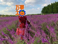-嘉北郊野公园