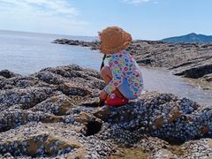 -威海大乳山景区
