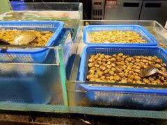-甄品麦哲伦海鲜和牛自助(万达广场店)