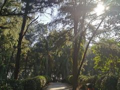 -宋井风景区