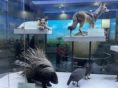 -国家自然博物馆