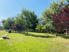 -武清南湖绿博园