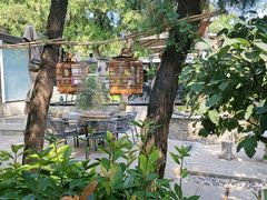 -蘇河湾·新鲁菜·泰山宴(泰山店)