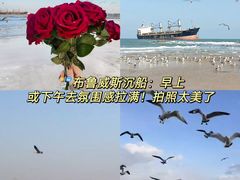 -幸福门