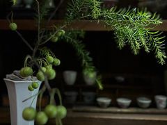 -菩提书坊(侨福大厦店)