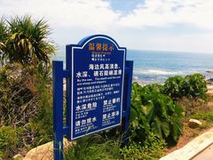 -广东惠东海龟国家级自然保护区