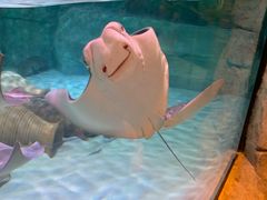 -沈阳海洋探索中心