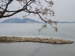 -达蓬山星梦乐园